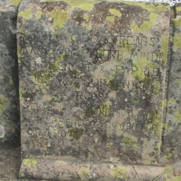 ROOS Josias Johannes 1881-1944