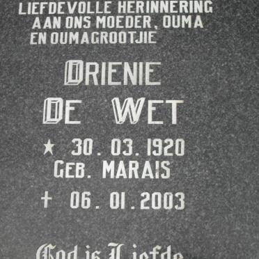 WET Drienie, de nee MARAIS 1920-2003