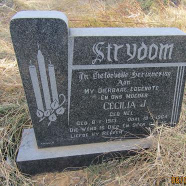 STRYDOM Cecilia J. nee NEL 1913-1964