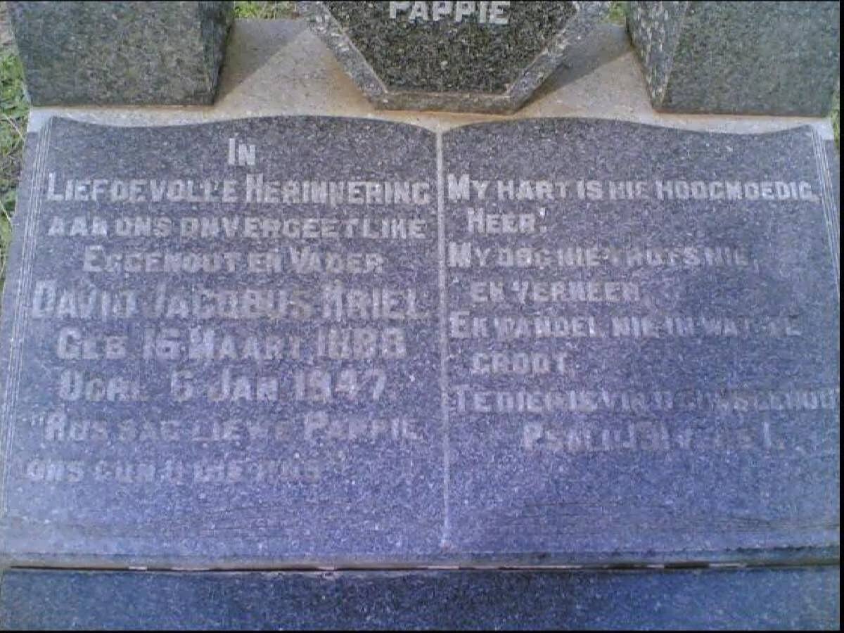 KRIEL David Jacobus 1888-1947