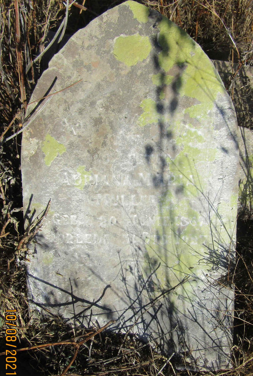 MULLER Johanna Maria 18??-1927