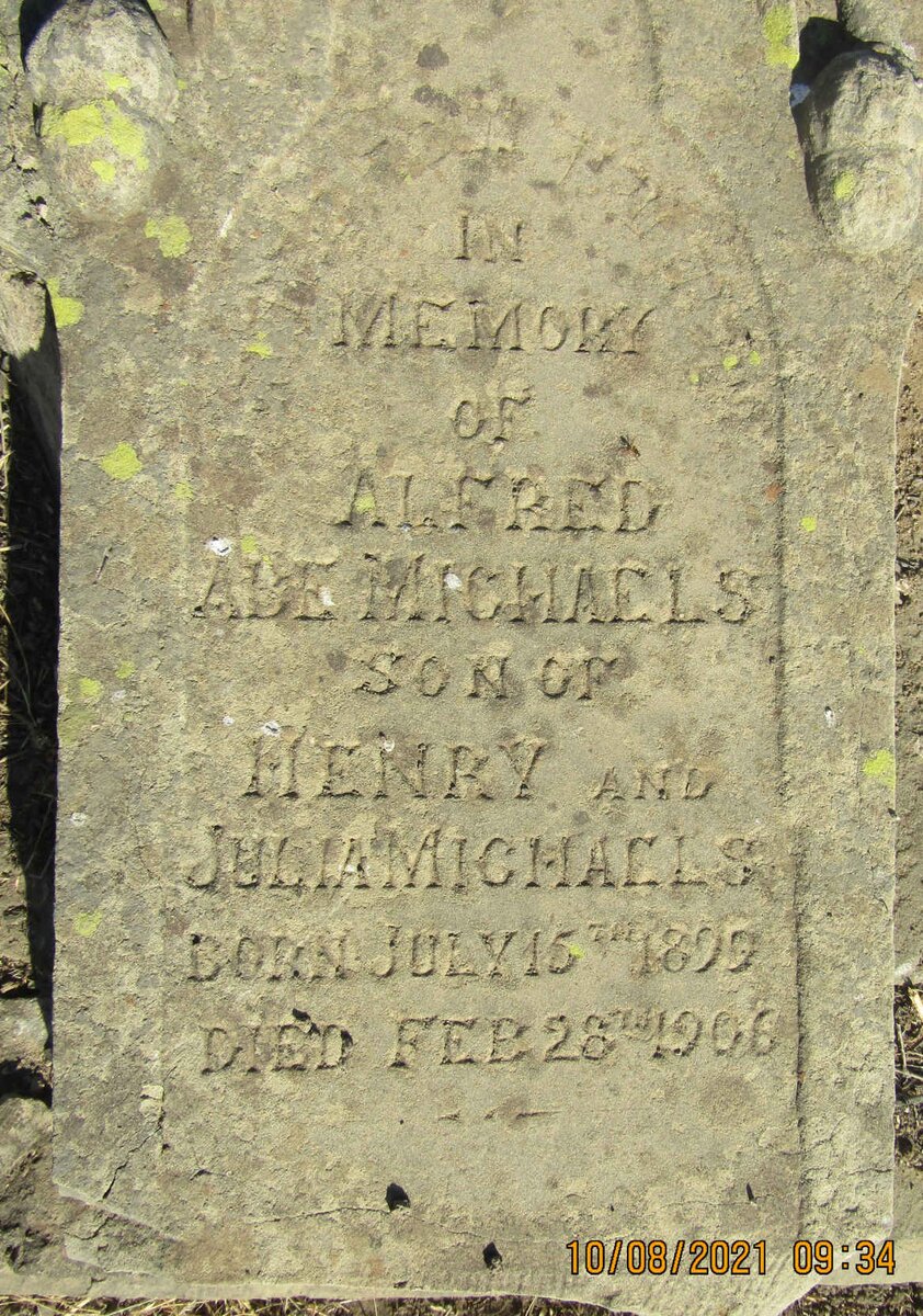 MICHAELS Alfred Abe 1899-1906