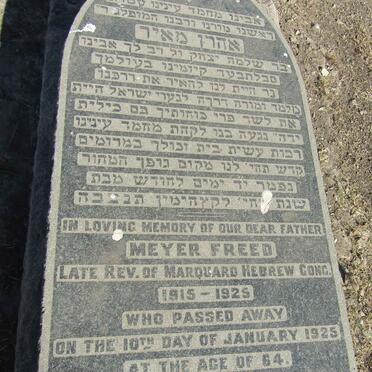 FREED Meyer -1925