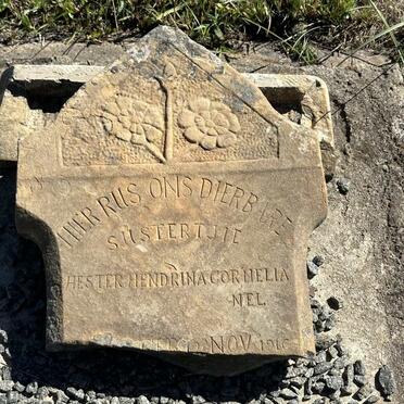 NEL Hester Hendrina Cornelia 1916-