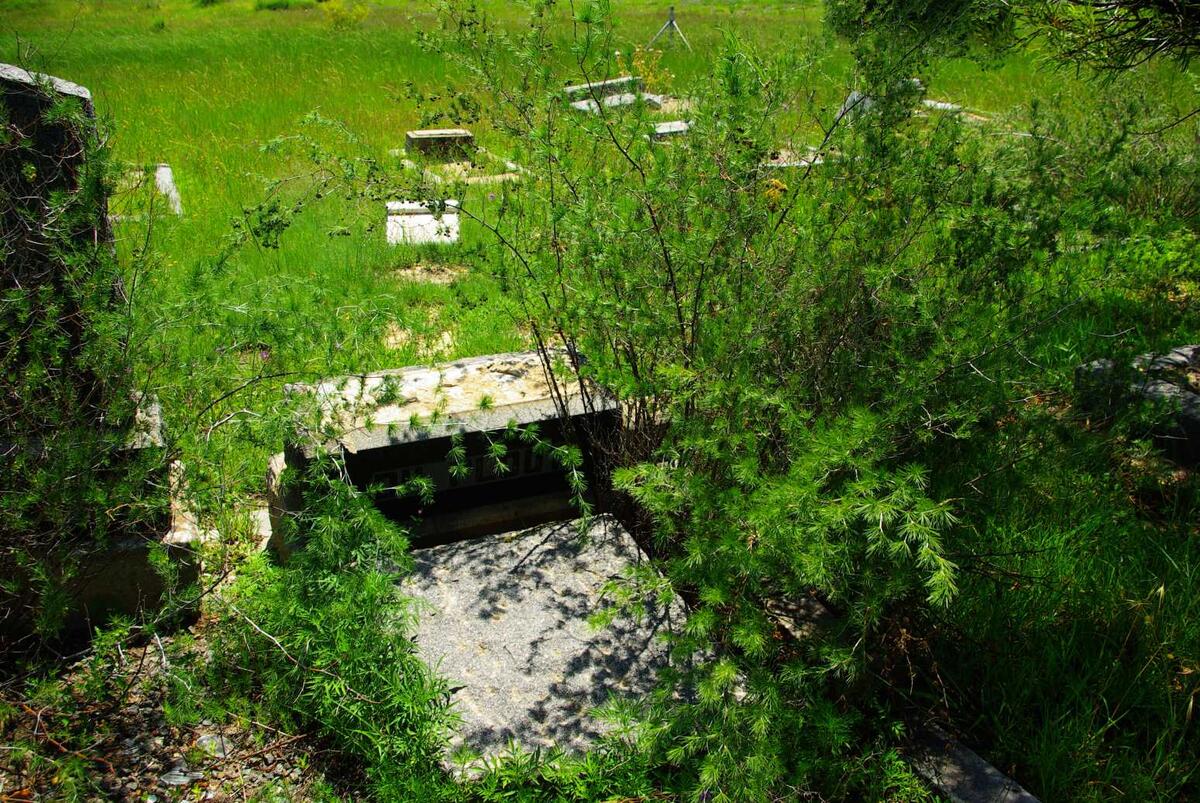 PLOOY Johanna Maria Barendina, du nee BEZUIDENHOUT 1883-1961