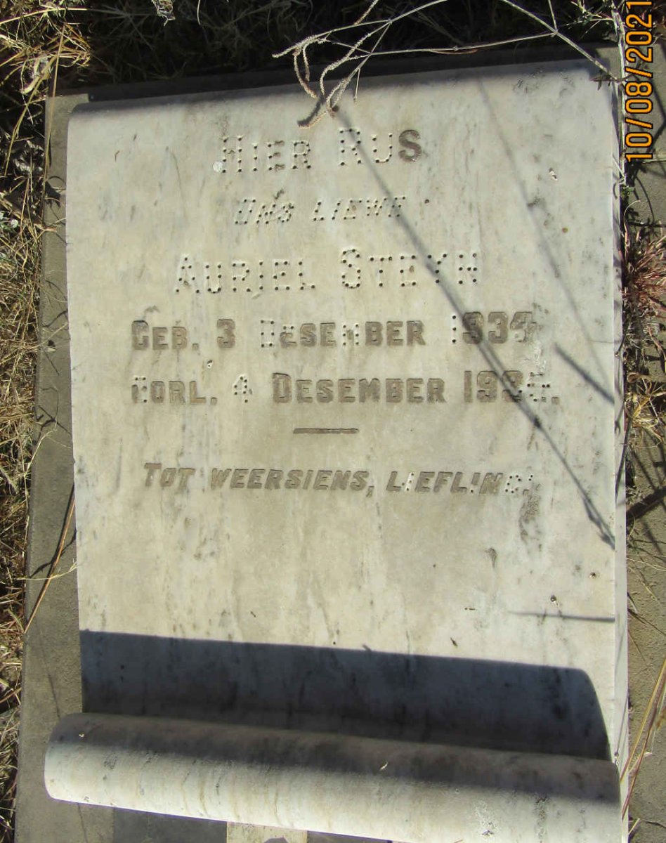 STEYN Auriel 1934-1935