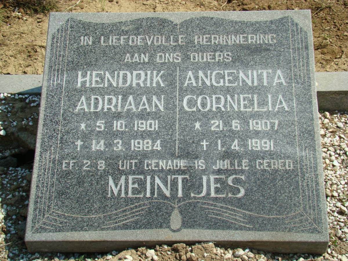 MEINTJES Hendrik Adriaan 1901-1984 &amp; Angenita Cornelia 1907-1991