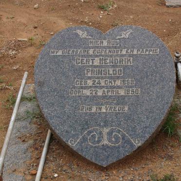 PRINSLOO Gert Hendrik 1883-1950