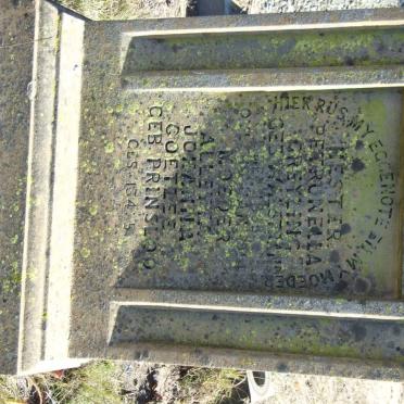 GREYLING Hester Petronella nee WALSTRAND 1935-1914 :: COETZEE Alletta Johanna nee PRINSLOO