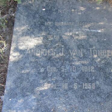 T - Vanne :: Surnames - T