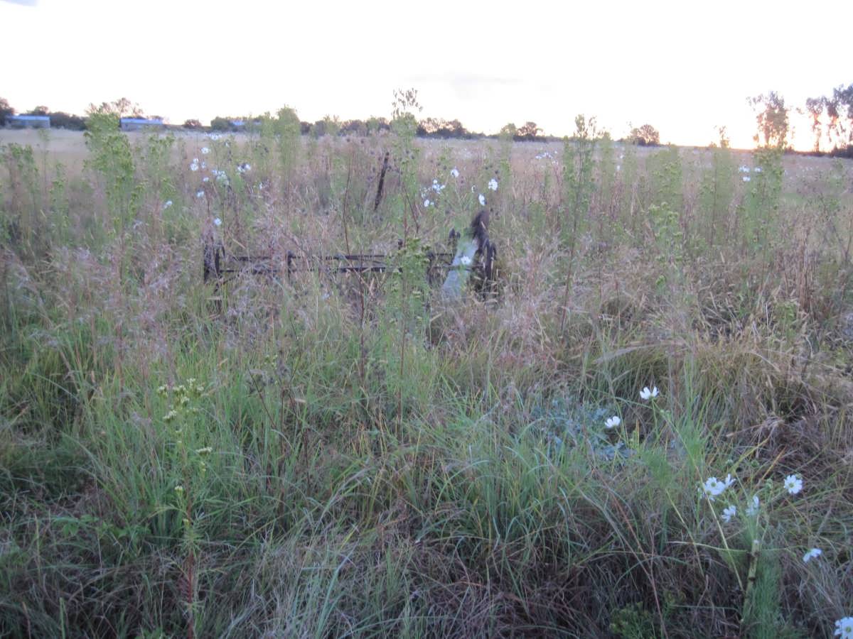 1. Overview on gravesite