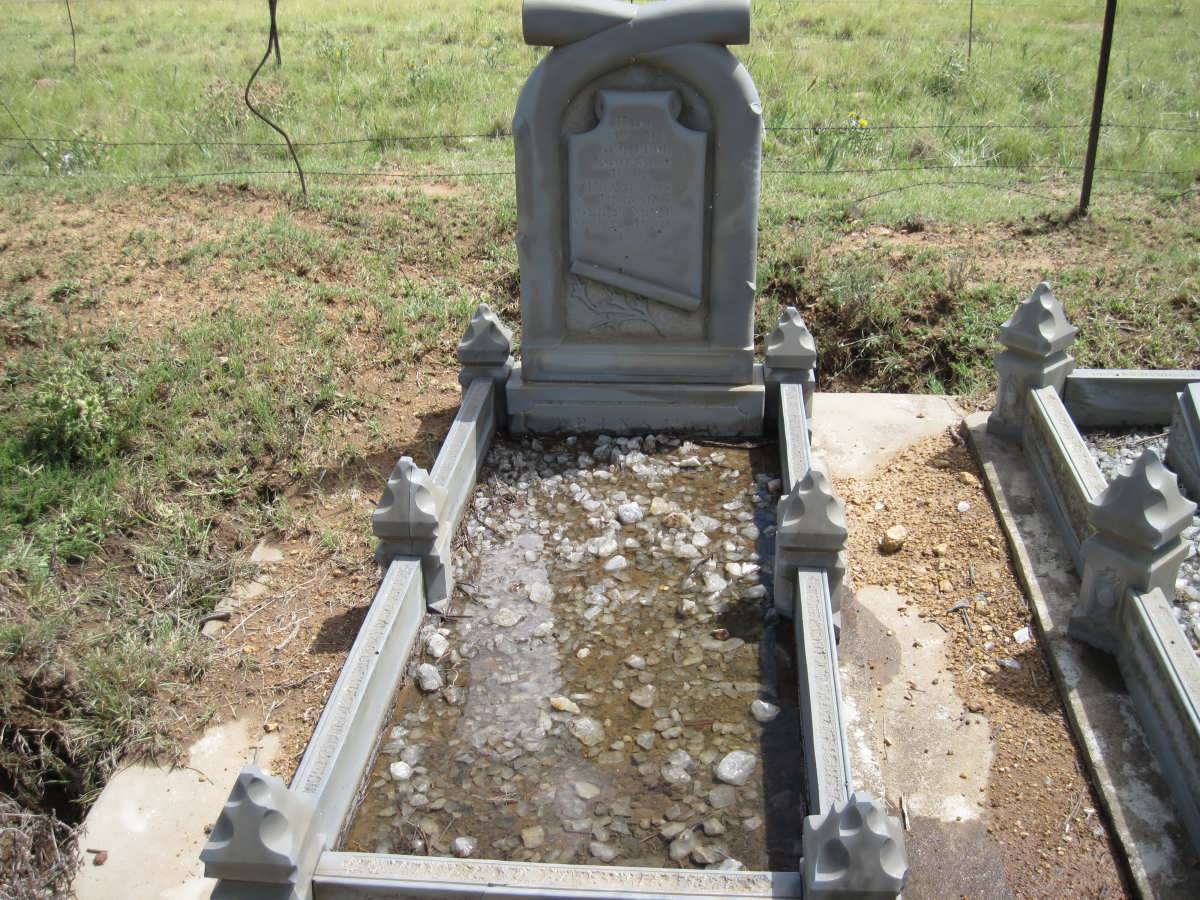 PRINSLOO Paul Franscois 1890-1919