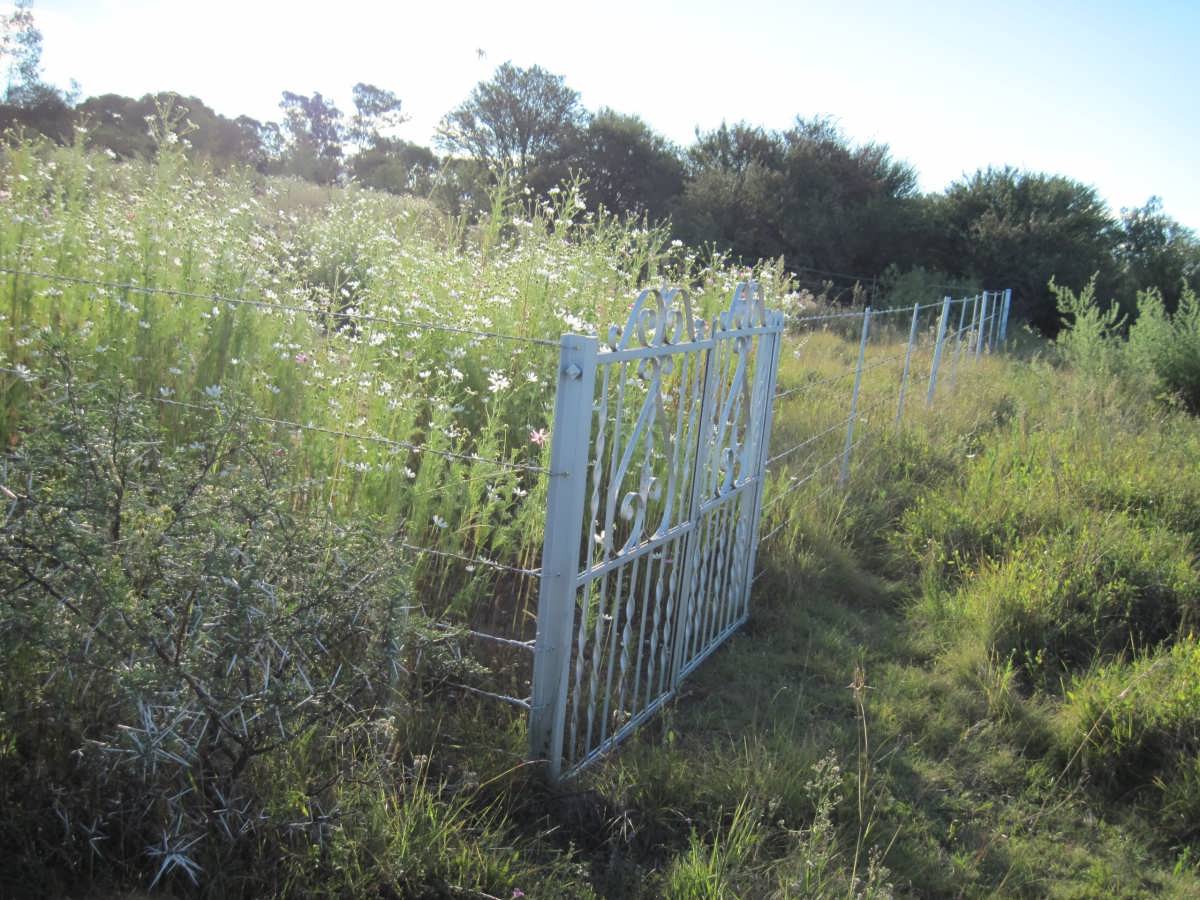1. Entrance to the cemetery