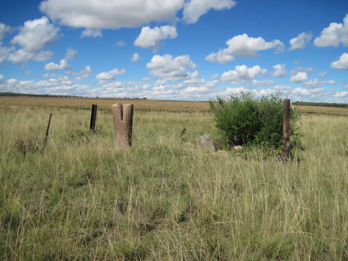 1. Overview on gravesite
