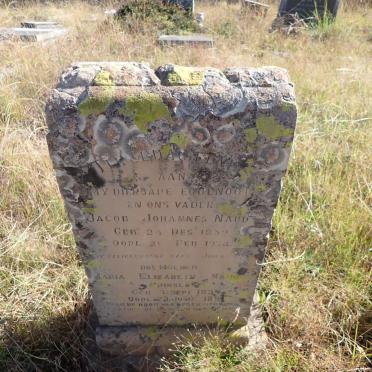 NAUDE Jacob Johannes 1859-1934 & Maria Elizabeth PRINSLOO 1859-189?