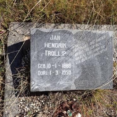 T - Vanne :: Surnames - T