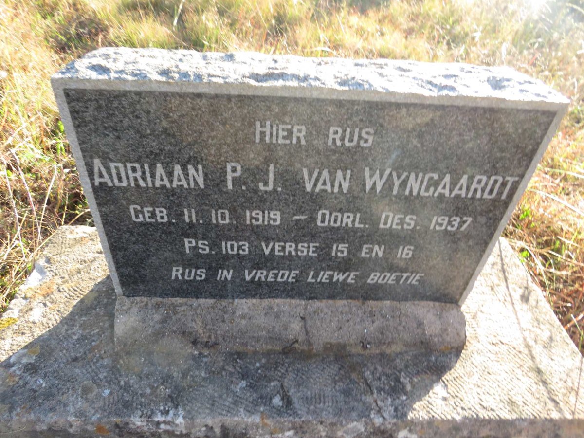 WYNGAARDT Adriaan P.J., van 1919-1937