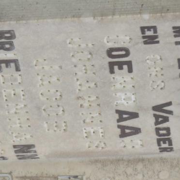 BRIEDENHANN Coenraad Johannes Jacob 18?3-1939 &amp; Maria Johanna BRUWER 1867-1948