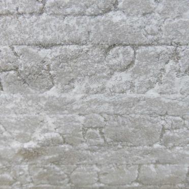 ? Dorothea 1900-1916