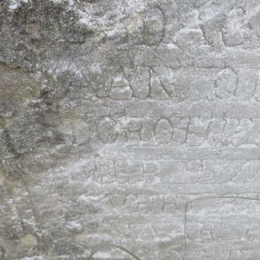 ? Dorothea 1900-1916