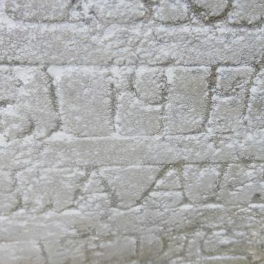 ? Dorothea 1900-1916