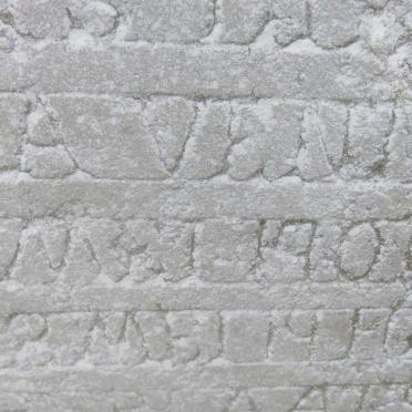 ? Dorothea 1900-1916