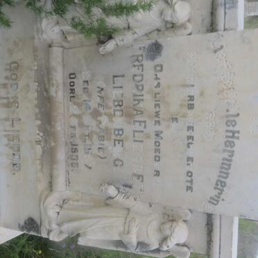 Free State, PETRUS STEYN / MAMAFUBEDU, Urban area