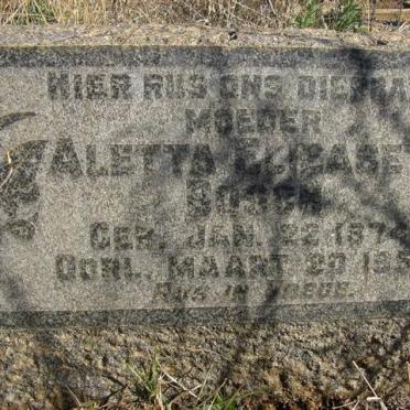 BOSCH Johan Louis 1868-1939 &amp; Aletta Elizabeth 1874-1953 