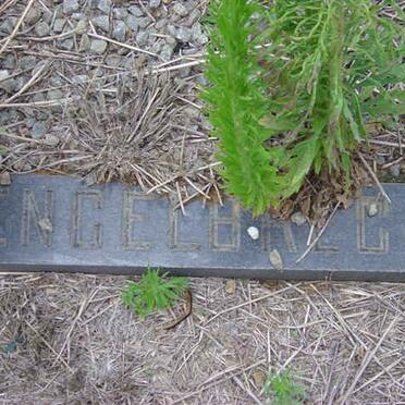 ENGELBRECHT Gerhardus C.1908-1972 &amp; Cornelis J. LOURENS 1906-1996