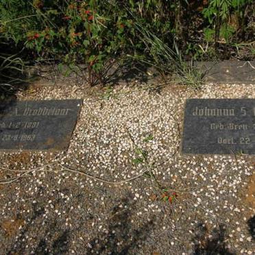 GROBBELAAR Willem A.1881-1963 &amp; Johanna S. BRETT 1886-1963