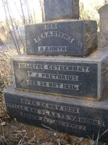 PRETORIUS P. J.1834-1923