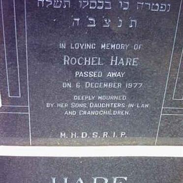 HARE Rochel -1977