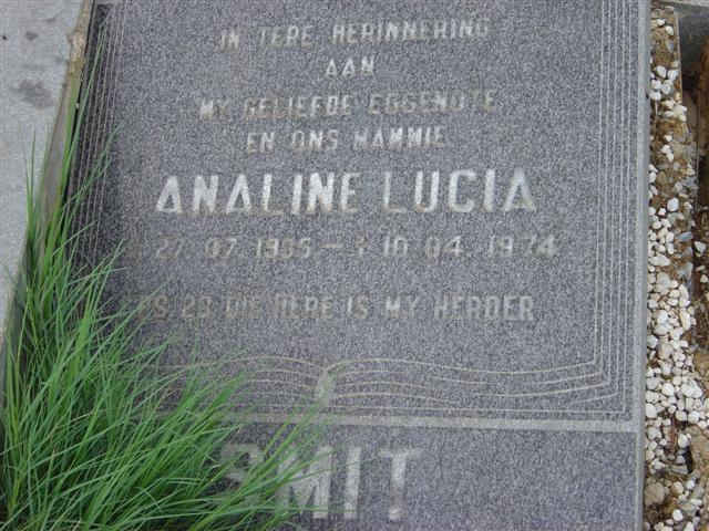 SMIT Analine Lucia 1935-1974