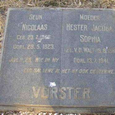 VORSTER Nicolaas 1906-1923 :: VORSTER Hester Jacoba Sophia nee V.D. WALT 1861-1941