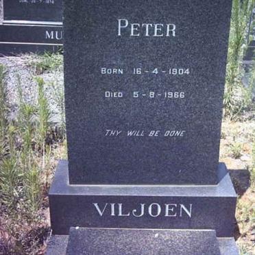 VILJOEN Peter 1904-1966