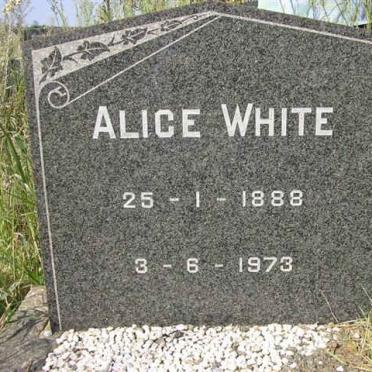 WHITE Alice 1888-1973