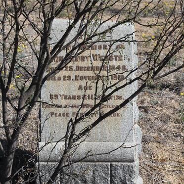 WEBSTER John Henry 1848-1919