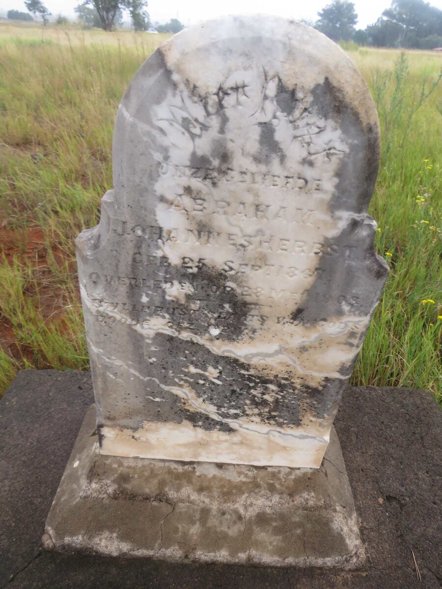 HERBST Abraham Johannes 1867-1909