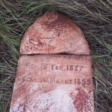 TOIT Daniel, du 1837-1899