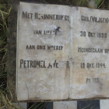 VENTER Petronella nee VILJOEN 1890-1944