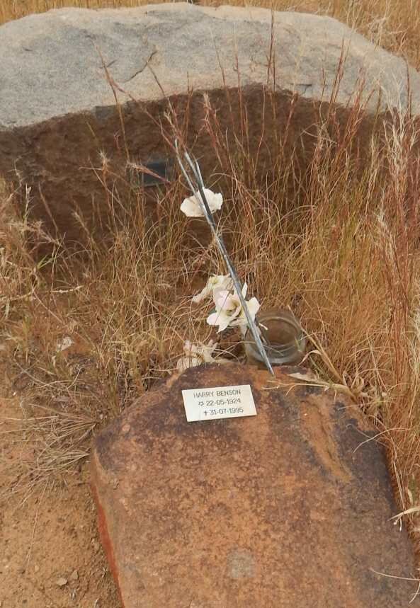 BENSON Harry 1924-1995