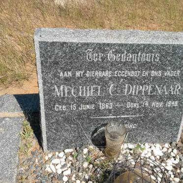DIPPENAAR Michiel C. 1863-1948