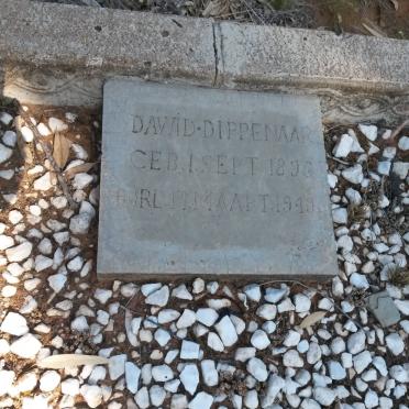 DIPPENAAR Dawid 1896-1949