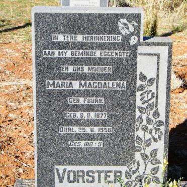 VORSTER Jan Lodewicus 1879-1973 &amp; Maria Magdalena FOURIE 1877-1958