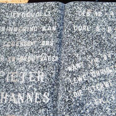 WALT Pieter Johannes, van der 1918-1986