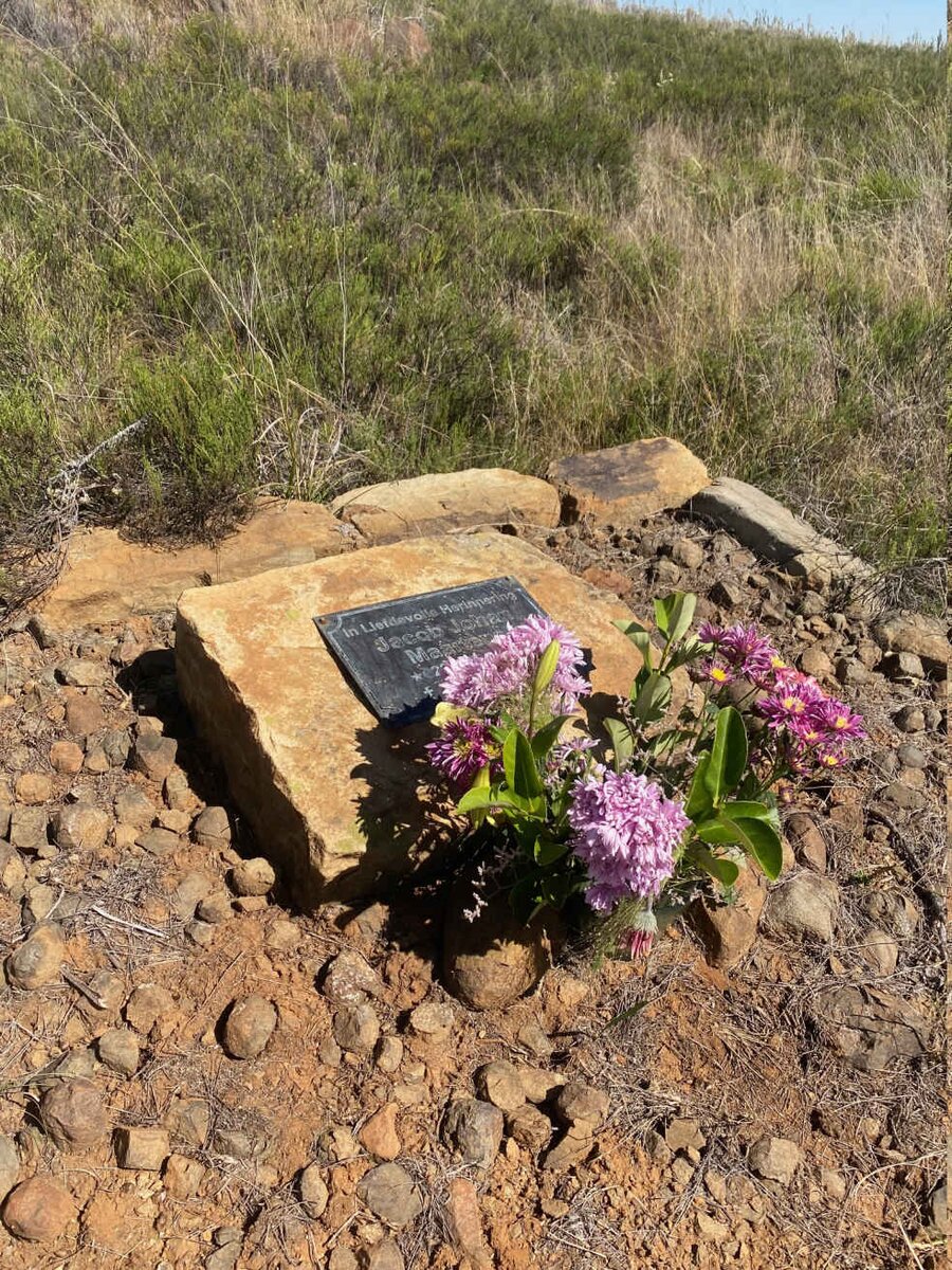 1. Overview / Oorsig