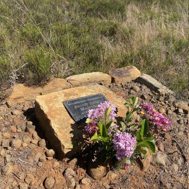 1. Overview / Oorsig