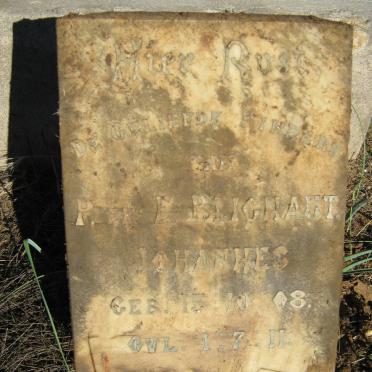 BLIGNAUT Johannes 1908-1911