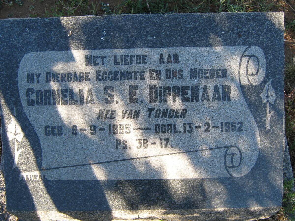 DIPPENAAR Cornelia S.E. nee VAN TONDER 1895-1952