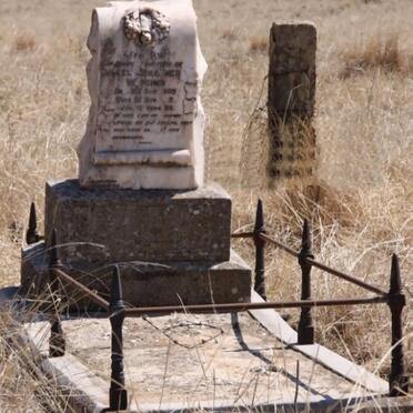 WEPENER Daniel Johannes 1886-1918